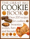 The great big cookie: Over 200 recipes for cookies, brownies, scones, bars and biscuits (Hardcover)
