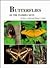 Butterflies of the Florida ...