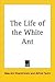 The Life of the White Ant
