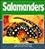 Salamanders (Nature Watch)