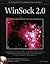 Winsock 2.0