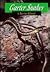 Garter Snakes (Animals & the Environment)