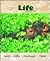 Life