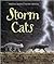 Storm Cats by Malachy Doyle