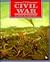 The Civil War - American Tragedy (First Book)