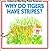 Why Do Tigers Have Stripes? (Usbornes Starting Point Science)