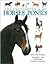 The Encyclopedia of Horses ...