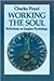 Working the Soul: Reflectio...