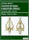 Colour Atlas of Anatomy of Small Laboratory Animals: Volume 1 (Volume 1)