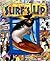 Surf's Up (Look and Find (Publications International))
