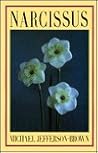 Narcissus