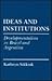 Ideas and Institutions: Developmentalism in Brazil and Argentina (Cornell Studies in Political Economy)