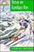 Terror on Kamikaze Run (Accidental Detectives, Book 12)
