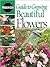 Guide To Growing Beautiful Flowers