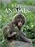 Baby Animals by Derek     Hall