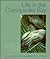 Life in the Chesapeake Bay. Illus. by Alice Jane Lippson by Alice Jane Lippson