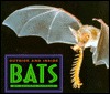 Outside And Inside Bats (Hardcover)