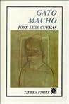 Gato macho (Spanish Edition)