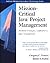 Mission-Critical Java(TM) Project Management: Business Strategies, Applications, and Development
