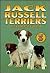 Jack Russell Terriers