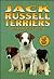 Jack Russell Terriers