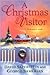 A Christmas Visitor by David Saperstein