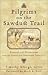 Pilgrims on the Sawdust Trail: Evangelical Ecumenism and the Quest for Christian Identity (Beeson Divinity Studies)