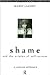Shame and the Origins of Self-Esteem: A Jungian Approach