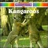 Kangaroos (Animal World) Kangaroos (Animal World)