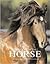 A Portrait of the Horse