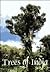 Trees of India