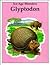 Glyptodon