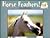 Horse Feathers! (Pair-It Books)