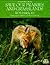 SAVE OUR PRAIRIES AND GRASSLANDS (Audubon One Earth Books)