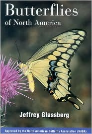 Butterflies of North America (Paperback)