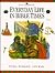 Everyday Life in Bible Times: Work, Worship, and War (Bible World)