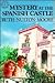Mystery at the Spanish Castle by Ruth Nulton Moore