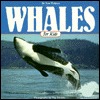 Whales for Kids (Paperback)