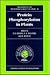 Protein Phosphorylation in Plants (Proceedings of the Phytochemical Society of Europe)