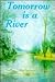 Tomorrow Is a River by Barbara Fitz Vroman