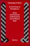 In the Vicinity of the Righteous: Ziyāra and the Veneration of Muslim Saints in Late Medieval Egypt (Islamic History and Civilization, 22)