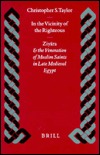 In the Vicinity of the Righteous: Ziyara and the Veneration of Muslim Saints in Late Medieval Egypt (Islamic History and Civilization, Vol 22)