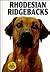 Rhodesian Ridgebacks