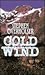 Cold Wind: A Western Story