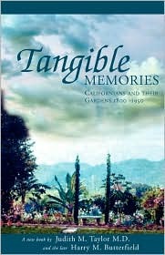 Tangible Memories (Paperback)