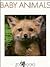 Baby Animals