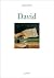 David: The Art Gallery Series