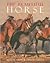 The Beautiful Horse