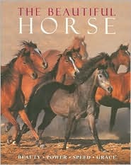 The Beautiful Horse (Hardcover)