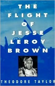 The Flight of Jesse Leroy Brown (Hardcover)